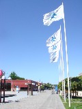 LpX