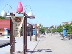 LpXCʂ